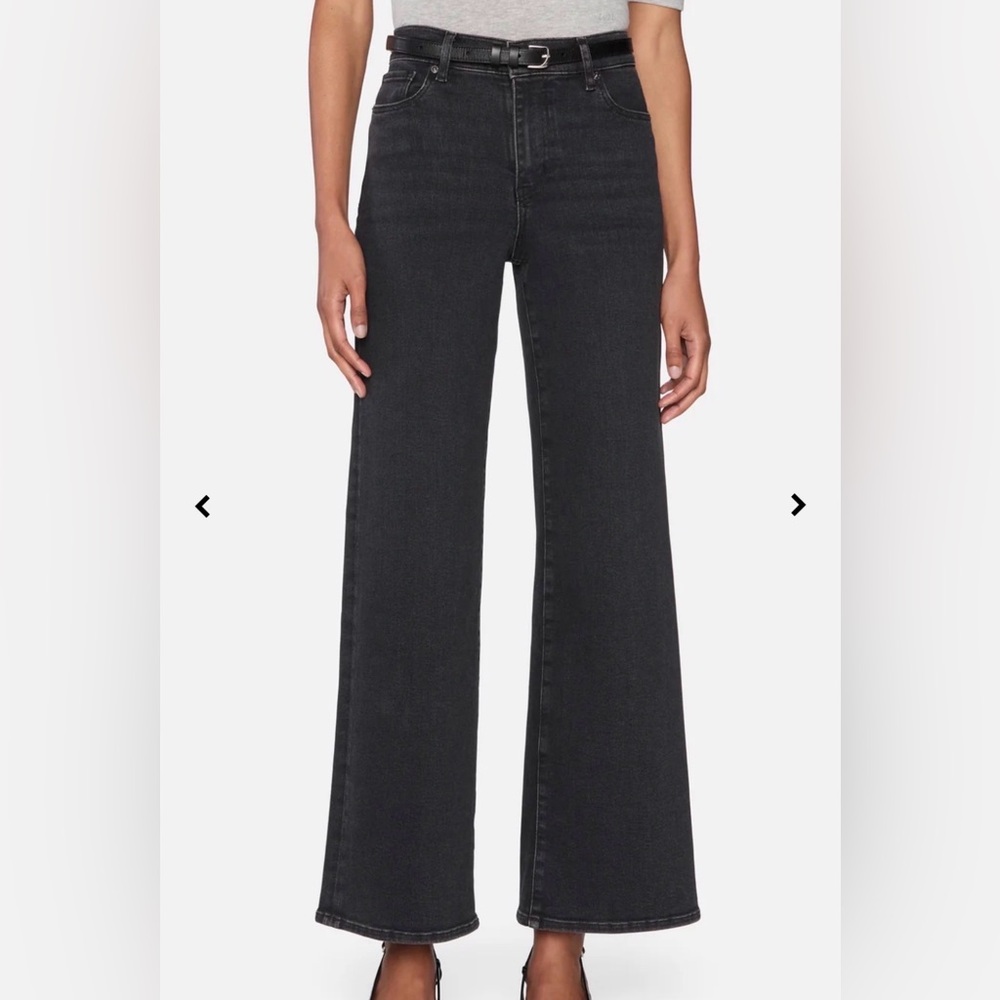 Frame Le Slim Palazzo Destroyer Wash